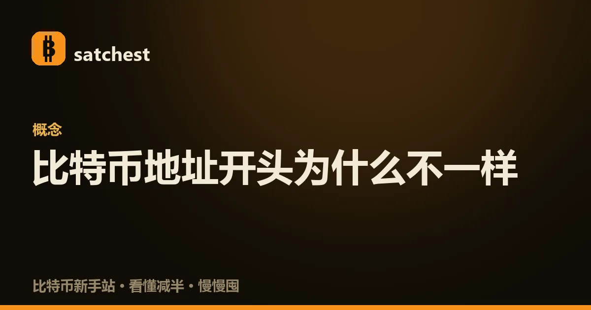 封面图：深色暖橙背景，satchest 标志下方是分类标签「概念」和大字标题「比特币地址开头为什么不一样」