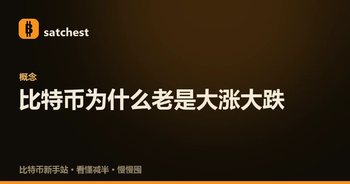 比特币价格剧烈波动的示意:一条上下剧烈起伏的 K 线,旁边是平缓的银行存款和股票曲线做对比